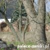 Dłużyce - Pałac