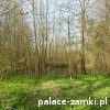 Dziesław - Pałac