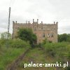 Górzyn - Pałac