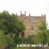 Górzyn - Pałac