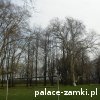 Sichów - Pałac