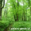 Stara Rudna - Pałac