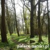 Zaborów - Pałac